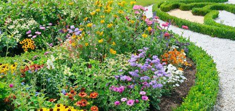 flower beds