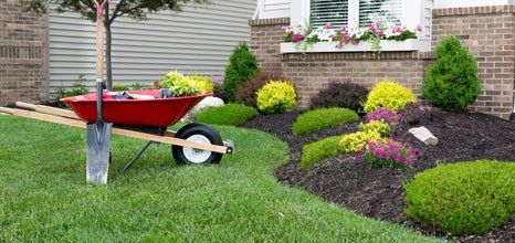 garden care