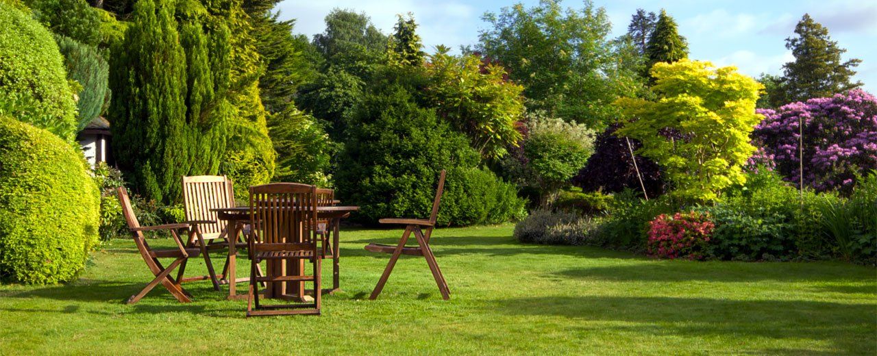 garden