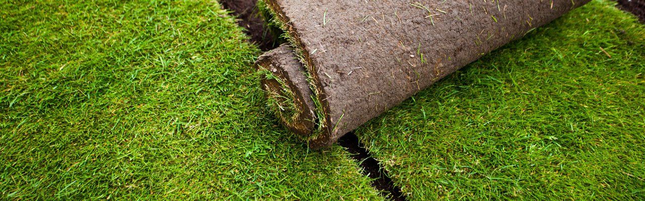 turf