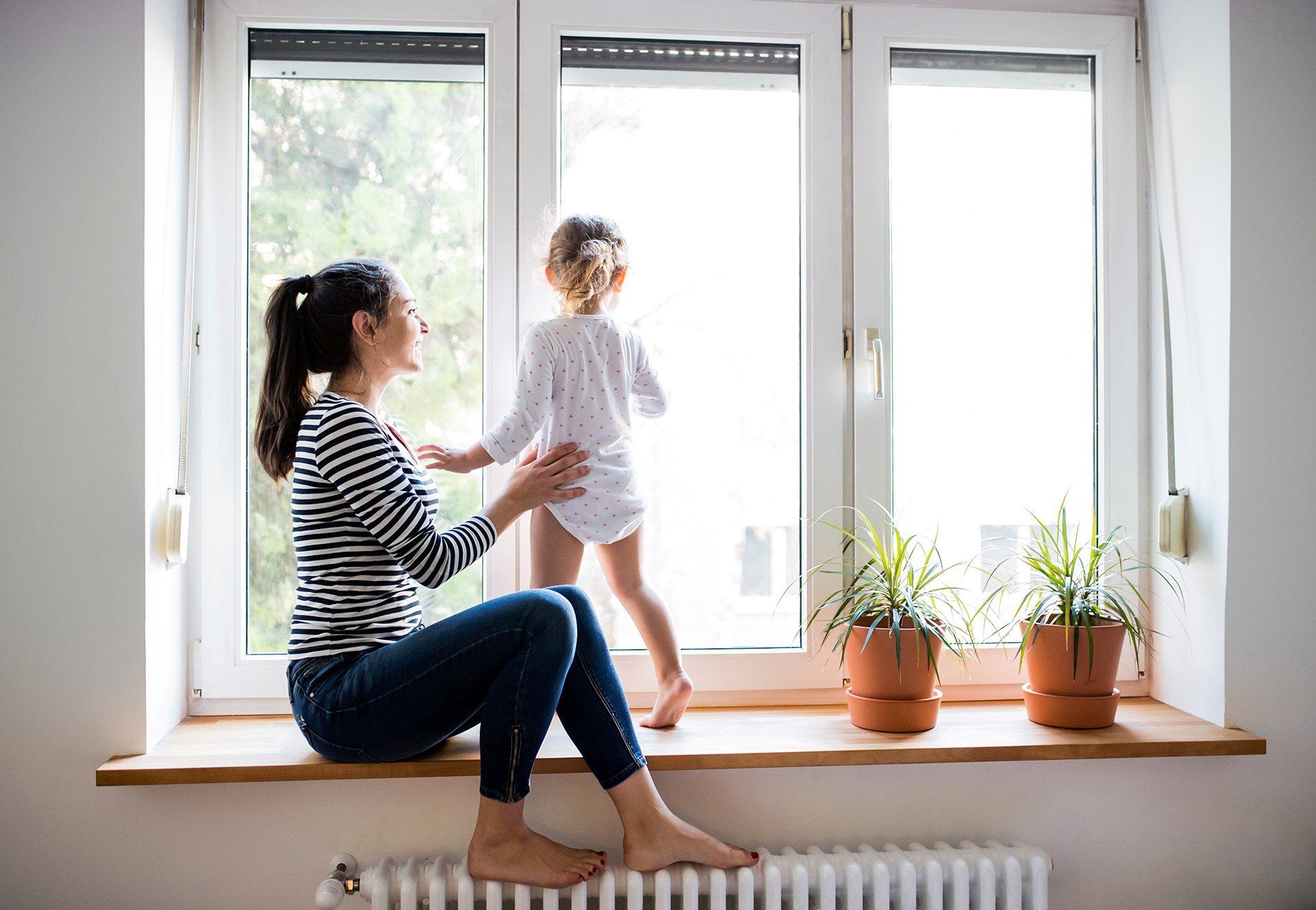 security window films for your home
