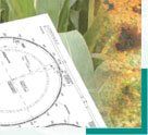 Plan Biogasanlage