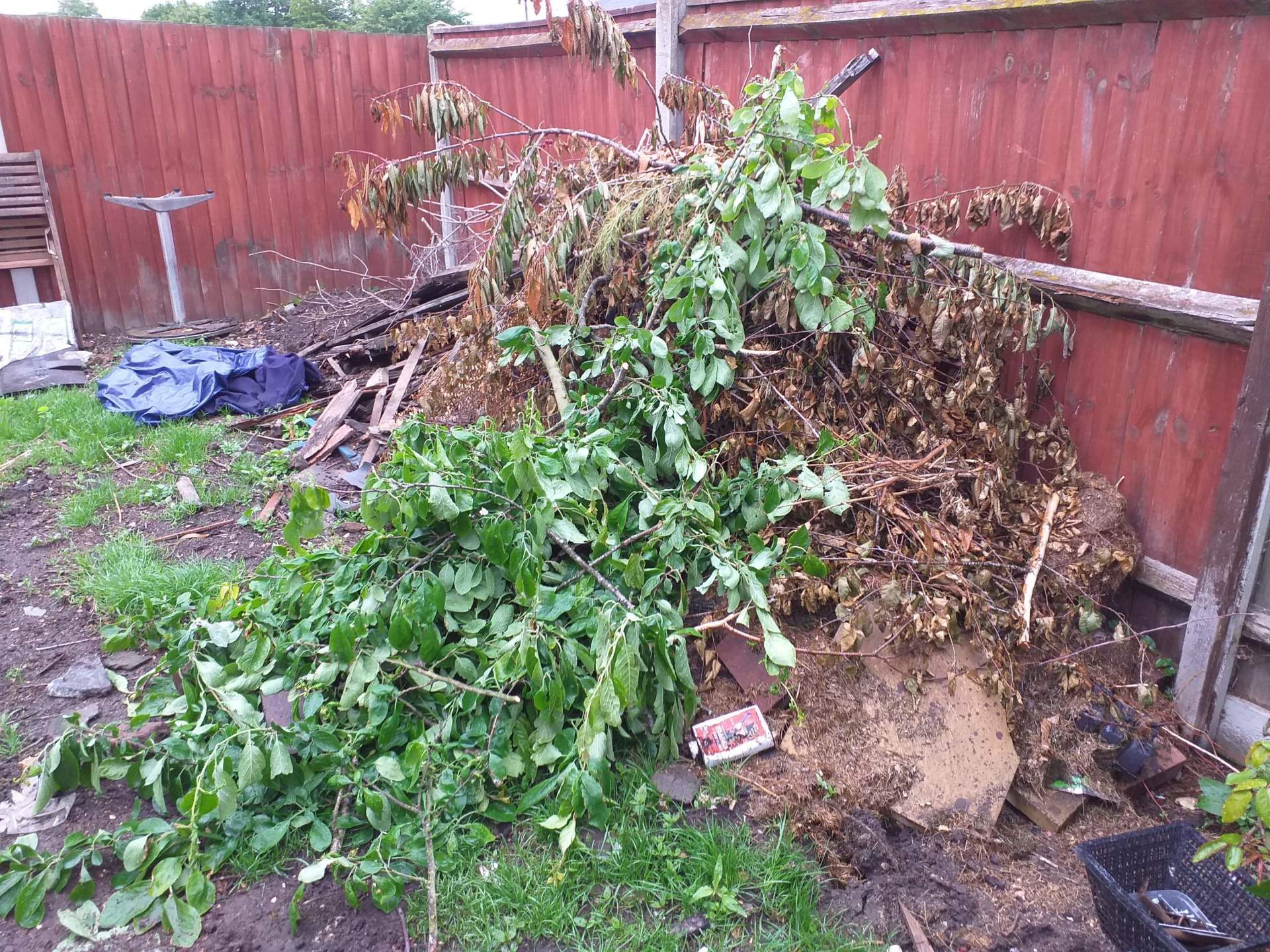Garden Clearance