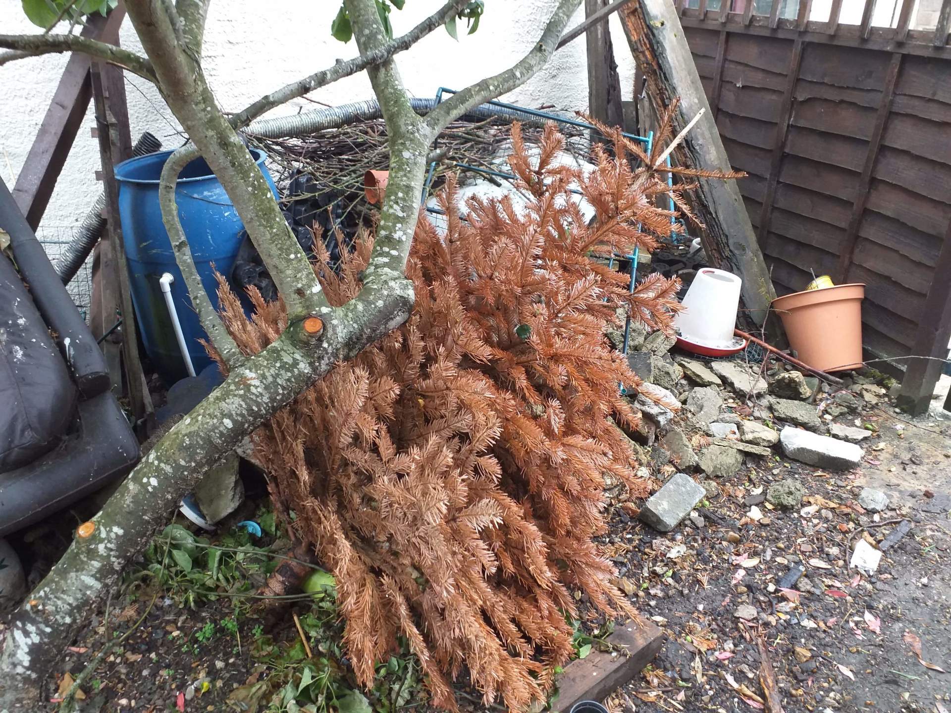 Garden Clearance