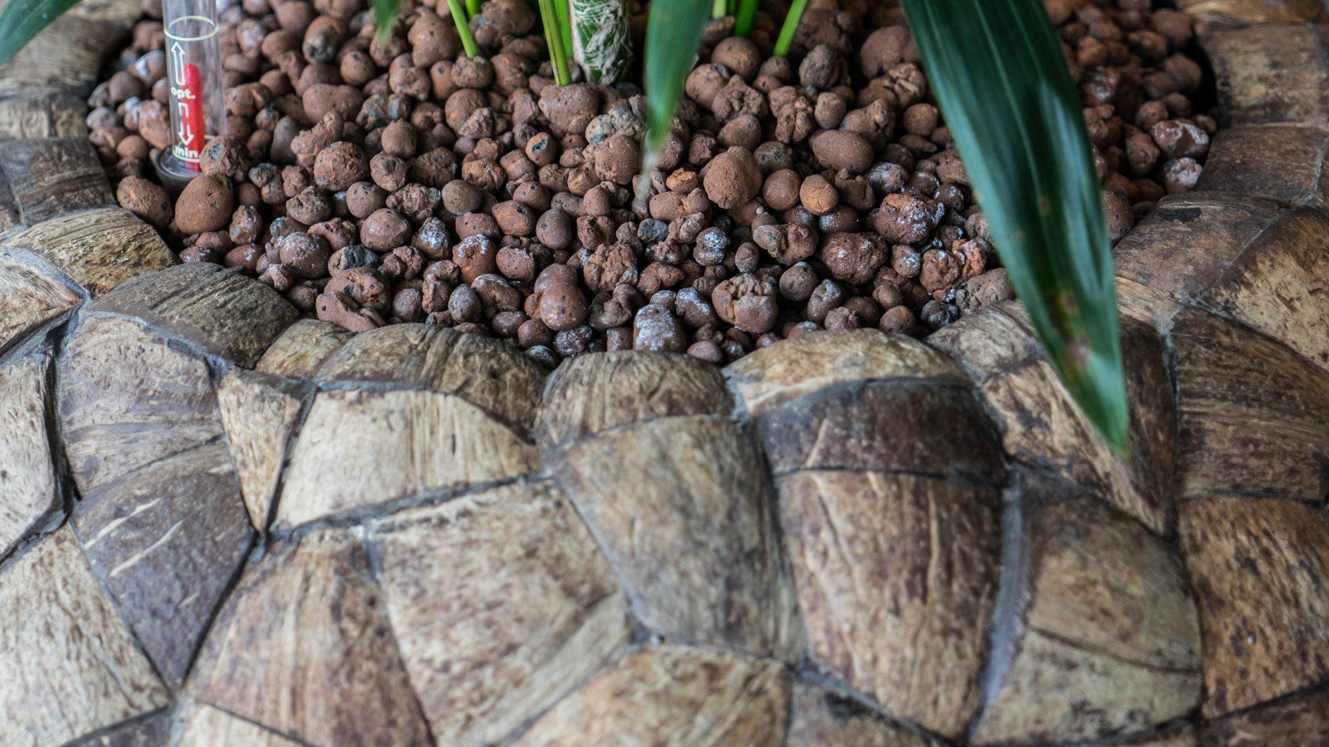 Close-up van hydrokorrels in kokosnoten plantenbak voor gemakkelijk onderhoud kantoorplanten