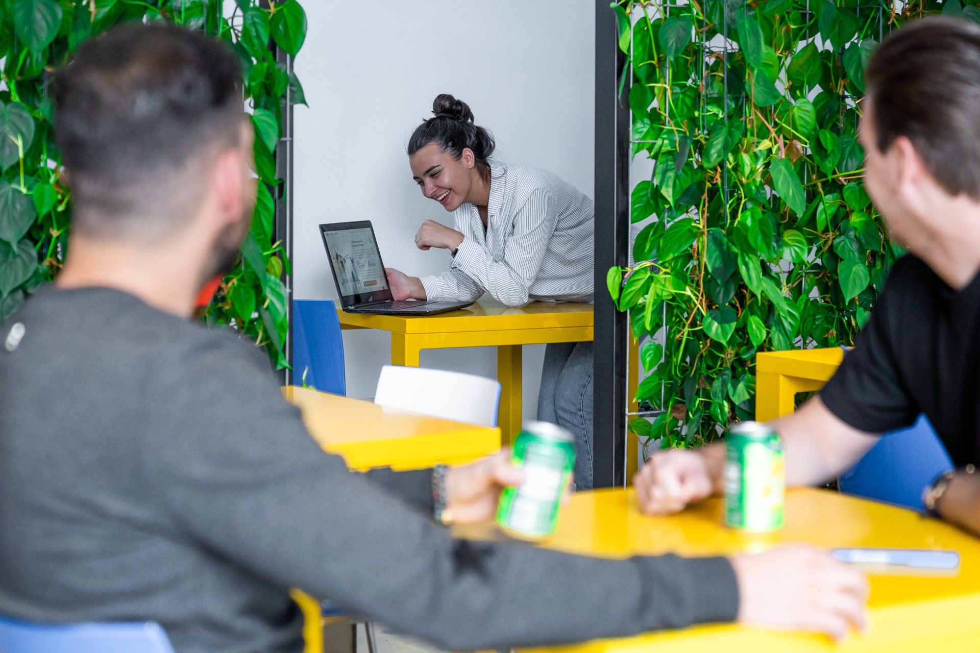 voordelen van planten op kantoor