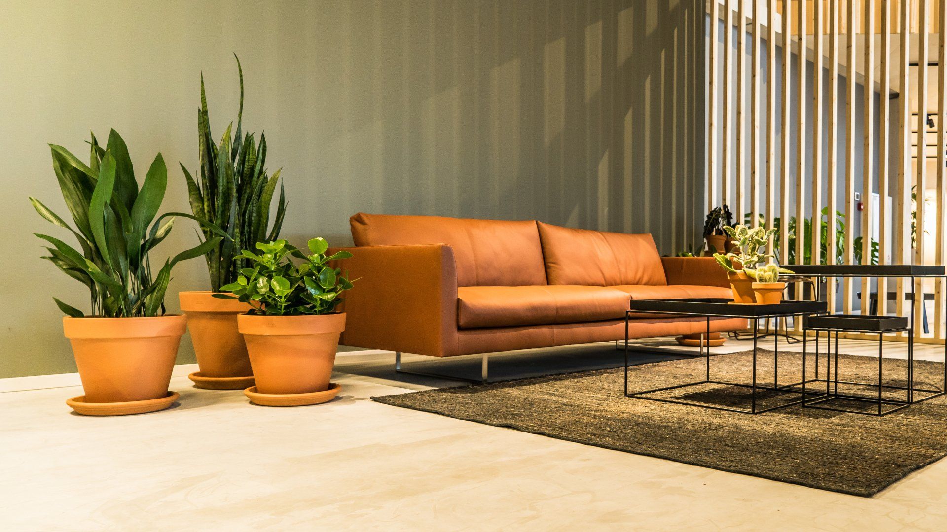Grote aardewerk plantenbakken in modern interieur
