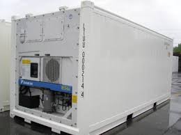 container freezer
