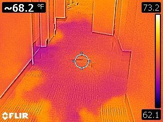 Floor Care Services — Man Wearing Glove Pointing His Hand To The Mold in Spring Hill, FL Floor Care Services — Man Wearing Glove Pointing His Hand To The Mold in Spring Hill, FL
