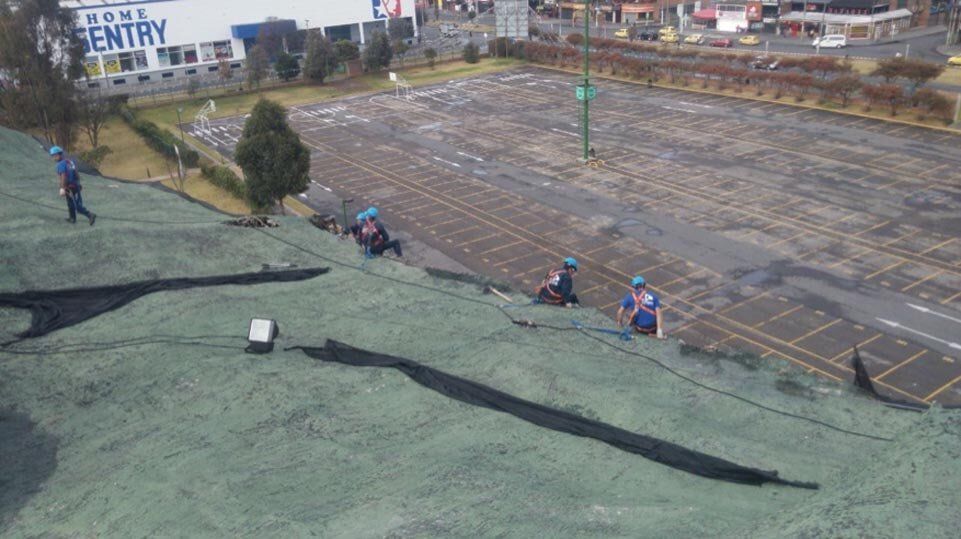 Trabajadores en el borde de una azotea ajardinada sobre un terreno pavimentado, con la carretera y los edificios al fondo.