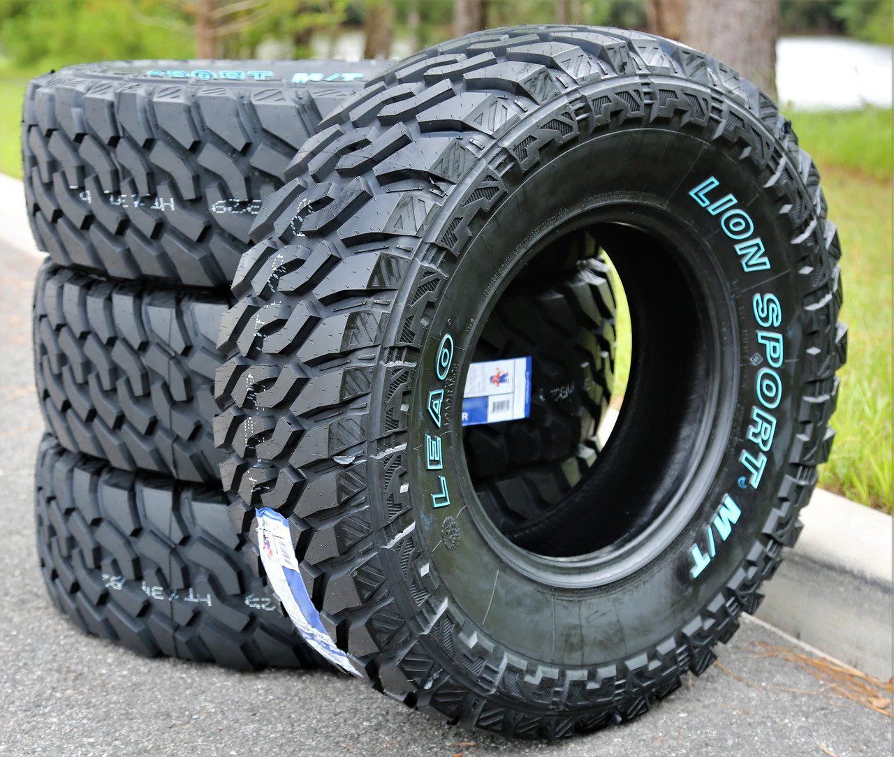 Click to see more Leao Lion Sport MT