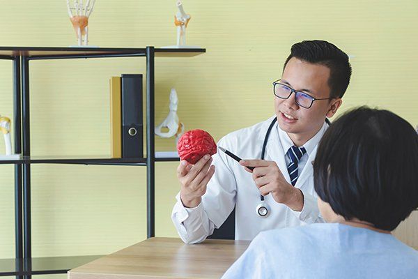 Doctor showing brain model
