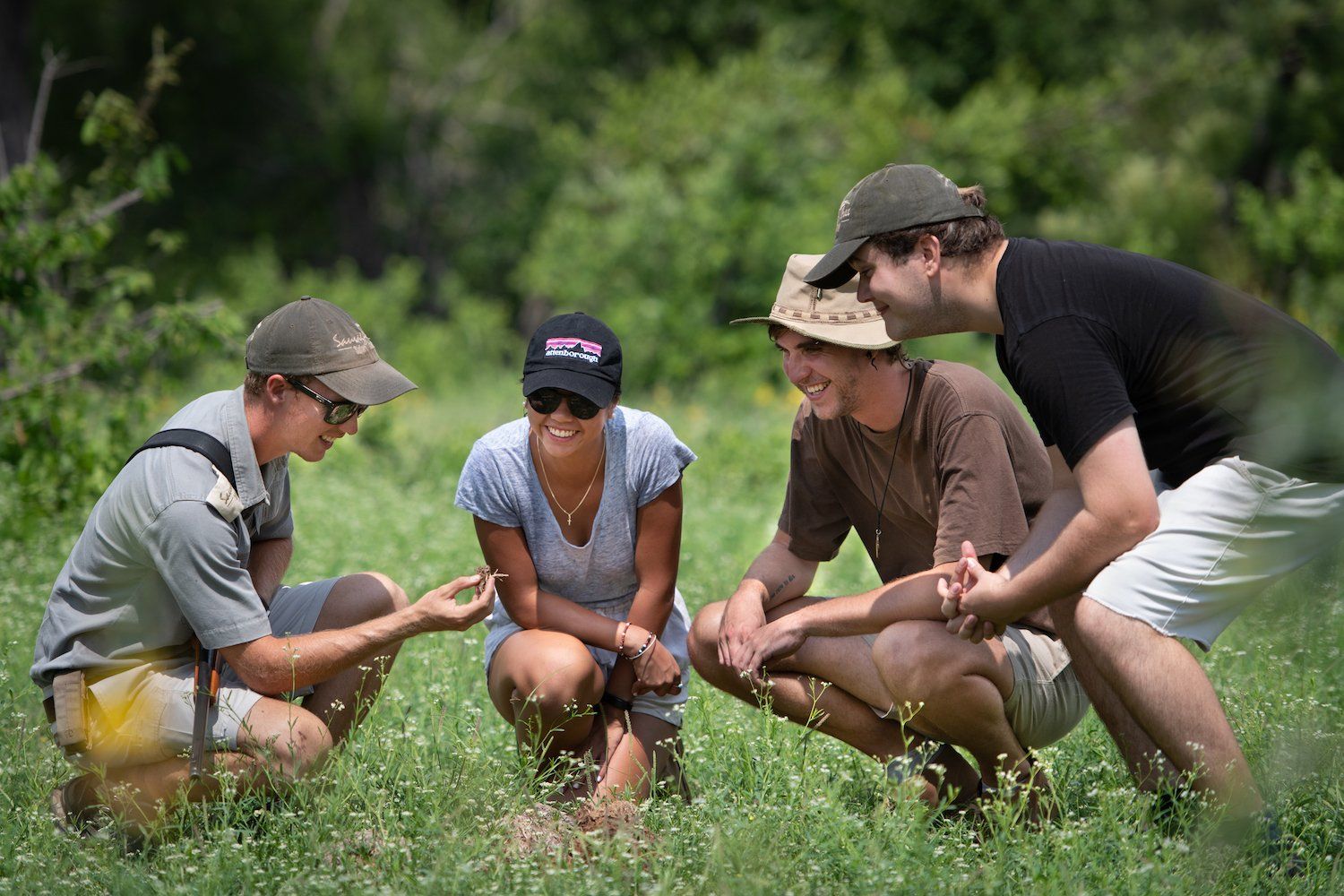 A group of people are kneeling in the grass looking at something.