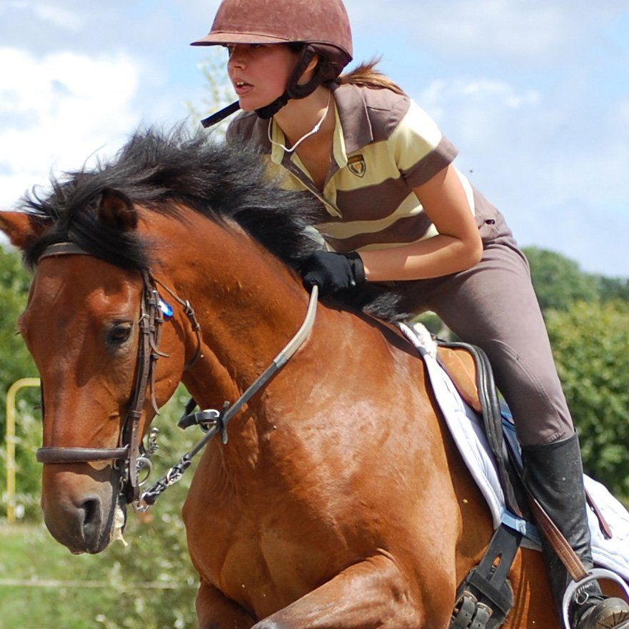 SPEEDY CLEANING FOR YOU AND YOUR MOUNT