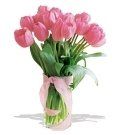 Tulip #2 $45