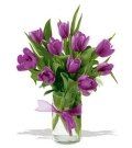 Tulip #4 $45
