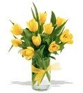 Tulip #5 $35