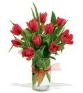 Tulip #7 $35
