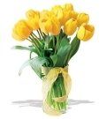 Tulip #1 $45