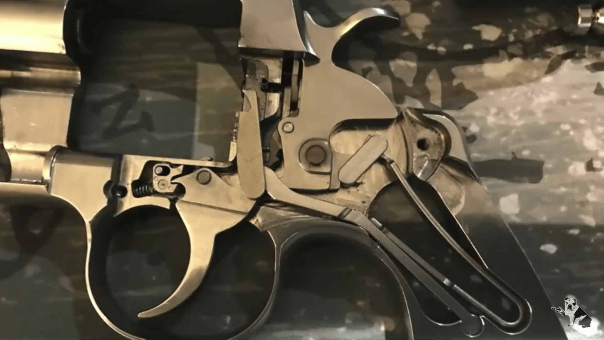 Colt Python