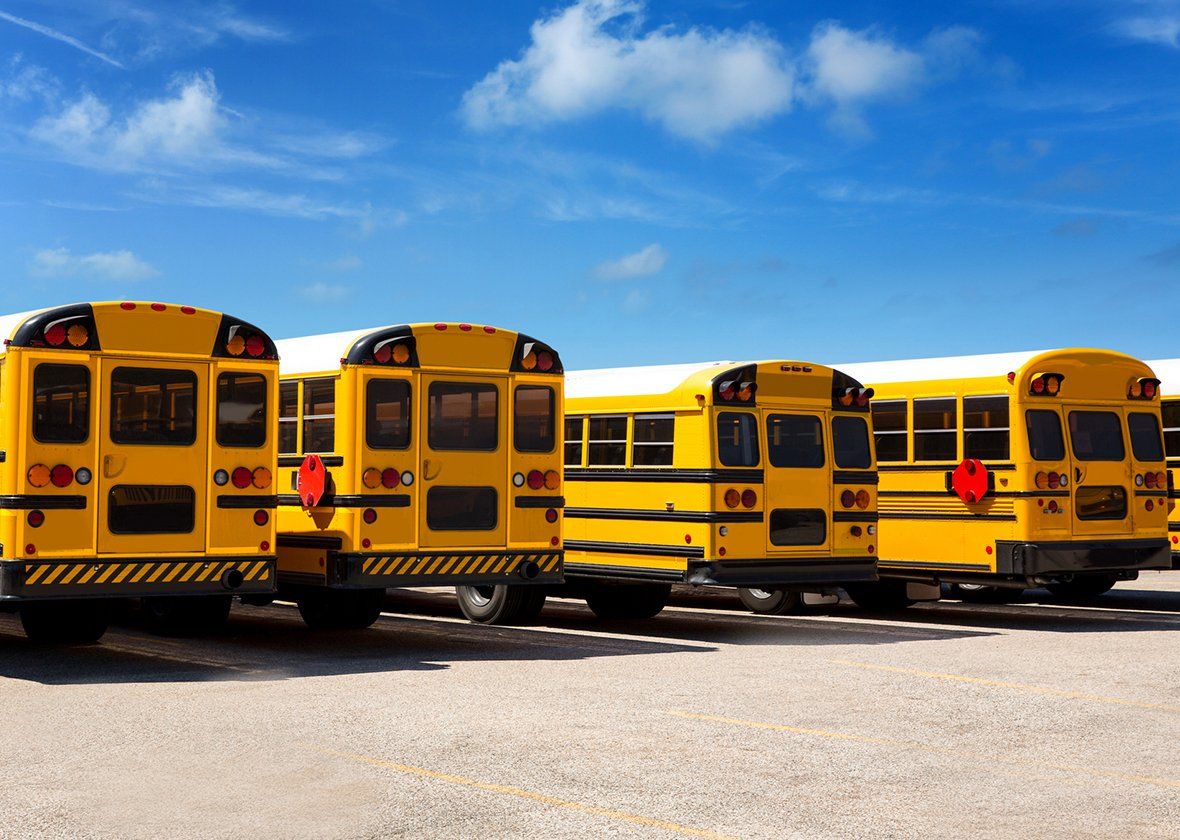 Yellow Buses — Livingston, LA — Truck & Equipment Rentals Yellow Buses — Livingston, LA — Truck & Equipment Rentals