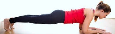 Dolphin Plank