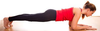 Dolphin Plank Teresa4Yoga