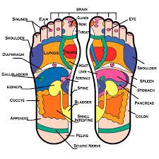 Teresa4Yoga Reflexology