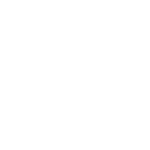 icona - professionalità