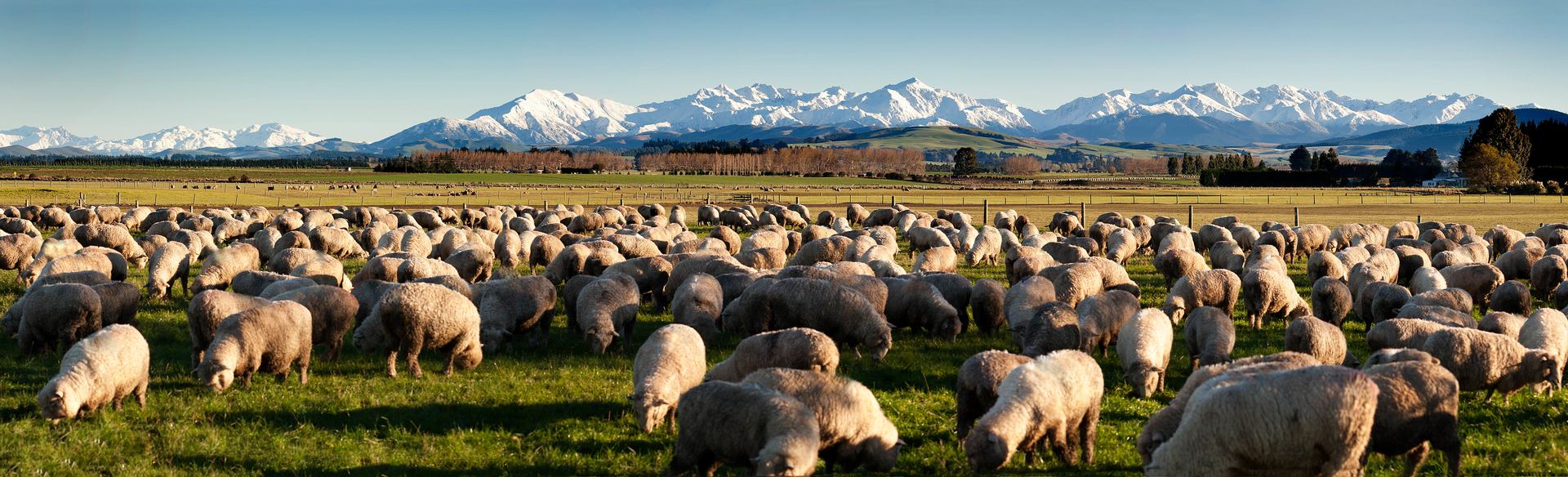 southland nz