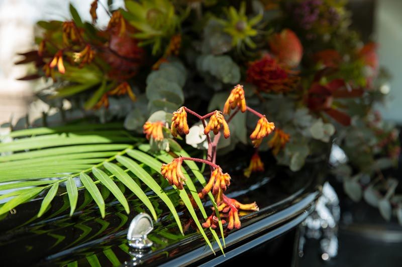Coffin — Helpful Resources & Information In Goulburn, NSW