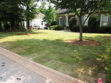Front of Home After Lawn Service