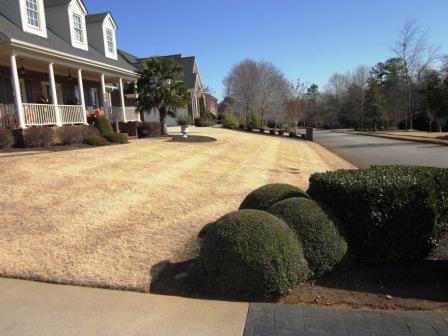 Front Lawn In Need of Professional Service