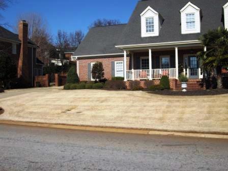 Residential Front Lawn with White Grass