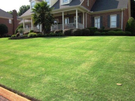Residential Front Lawn with Lush Green Grass