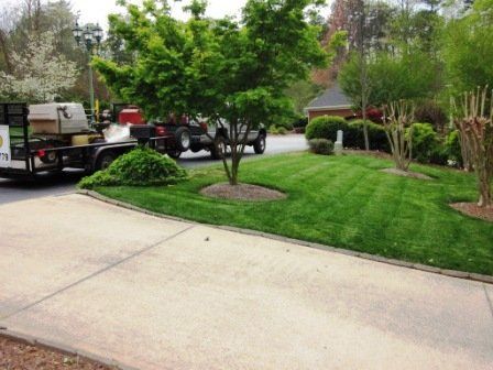Front Lawn Expertly Cut Around Trees & Driveway