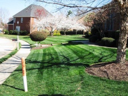 Beautiful Lawn & Landscaping In Front Of Home