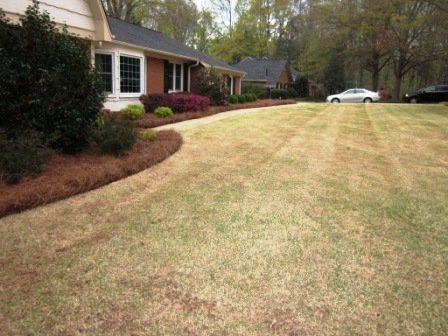 Dreary & Grey Lawn Before Professional Service
