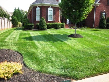 Straight Mowing Lines Around Landscaping of Home