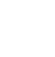 REMER - LOGO