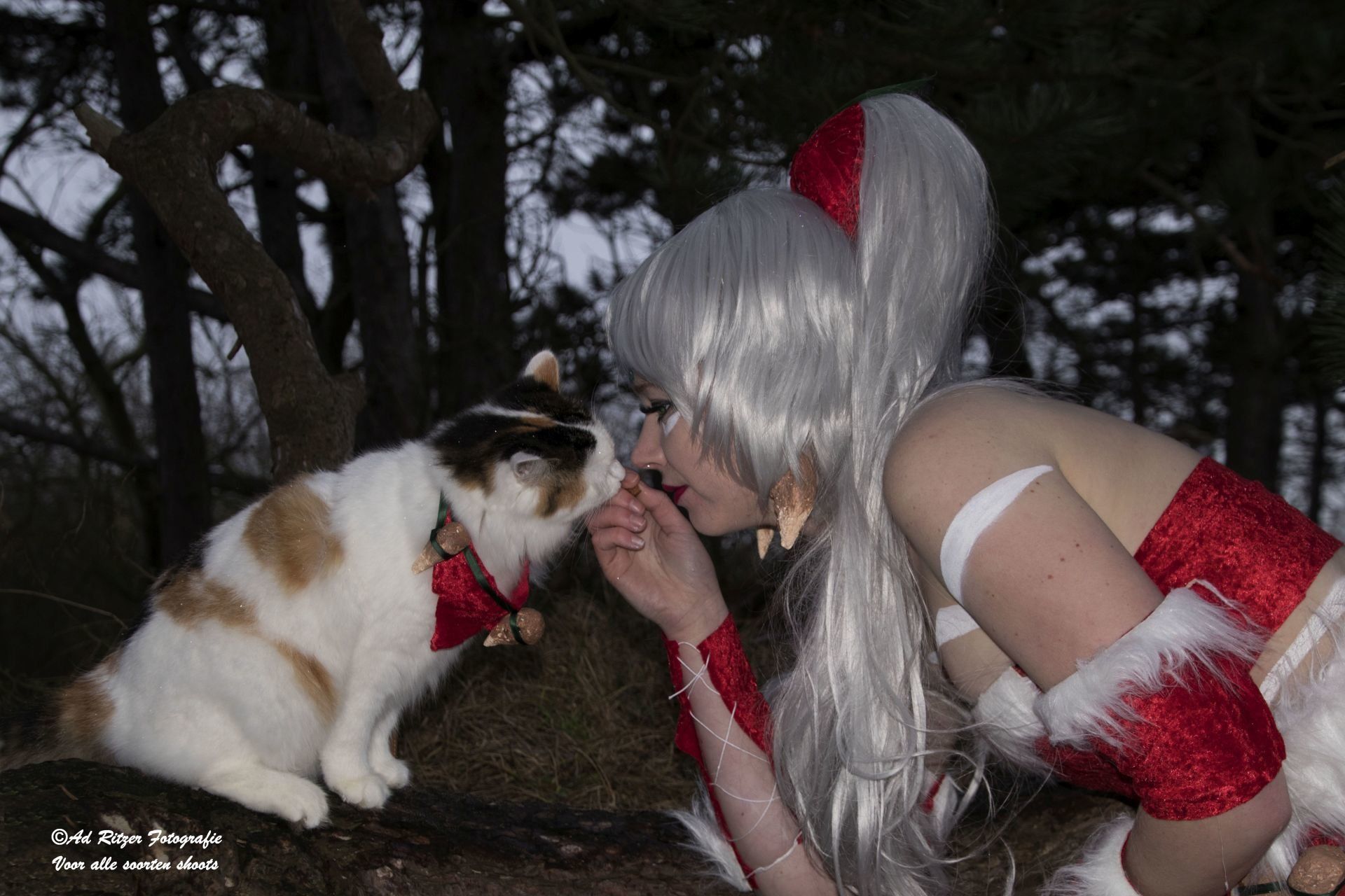 Cosplayer met zilveren pruik die 's nachts buiten naar een kat met een rode halsband leunt
