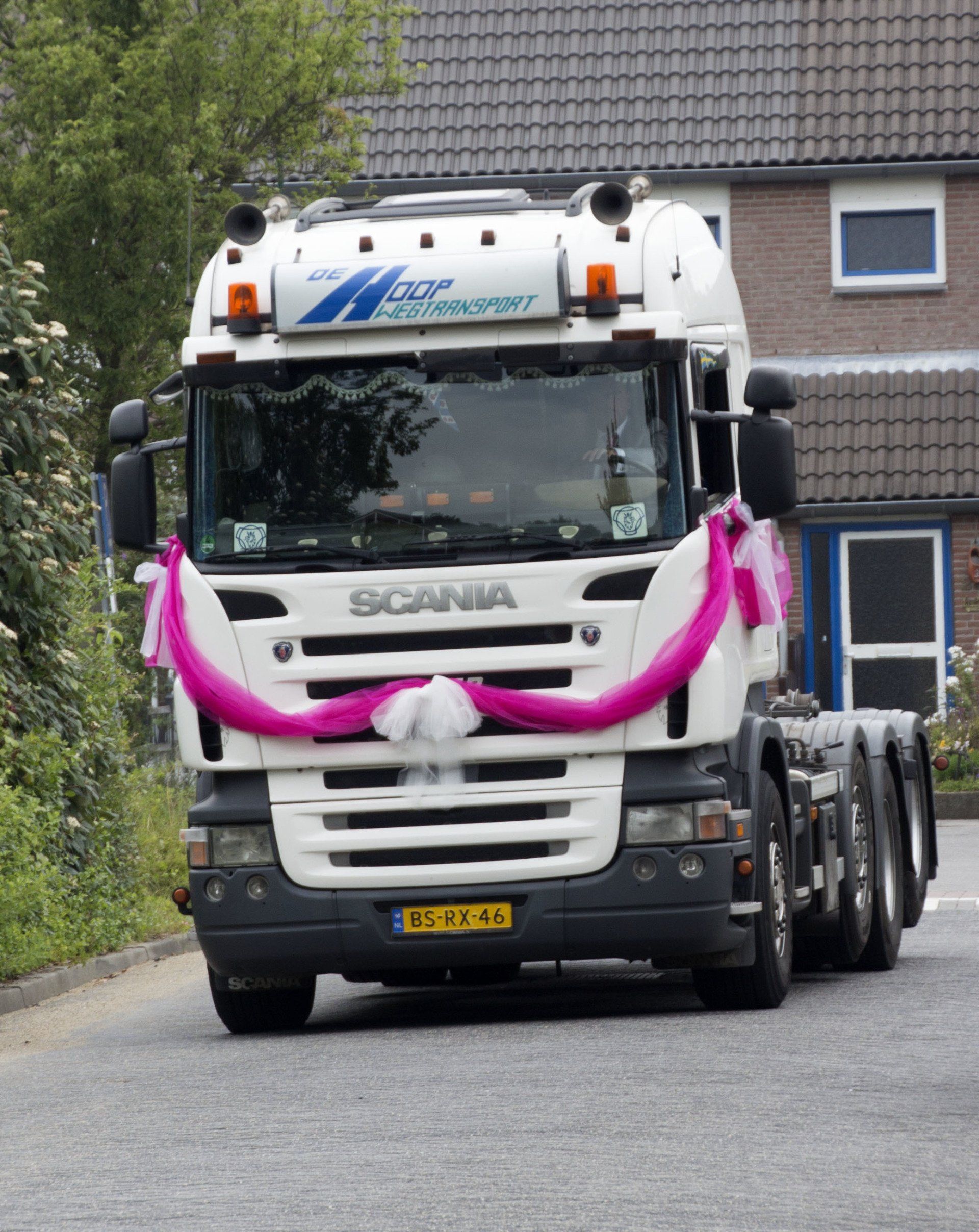 Witte Scania-vrachtwagen met roze linten rijdt door een woonstraat, versierd voor een evenement.