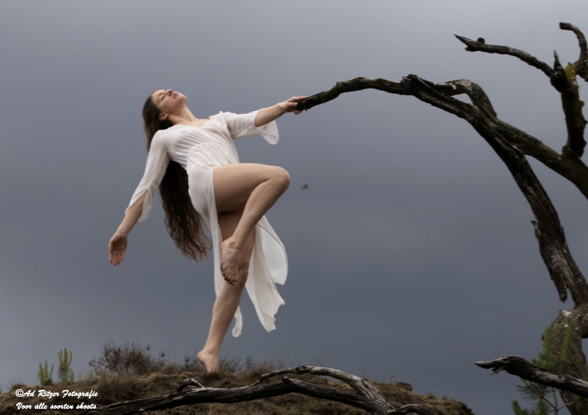 Een danseres in een witte jurk poseert gracieus op een kronkelige boom tegen een donkere, bewolkte hemel.