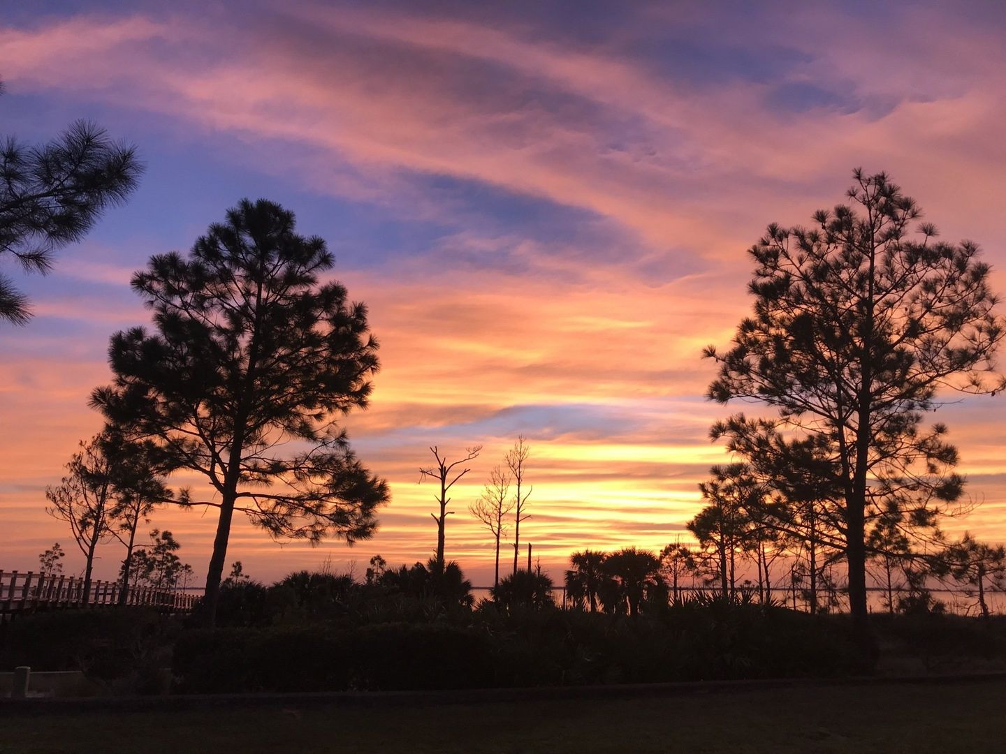Resort View | Barrier Dunes