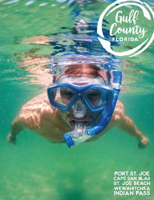 Gulf Country Florida | Barrier Dunes