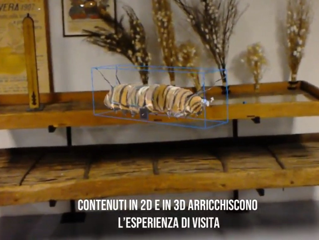 VIDEO Prototipo