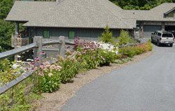 lawn care services lawn care services