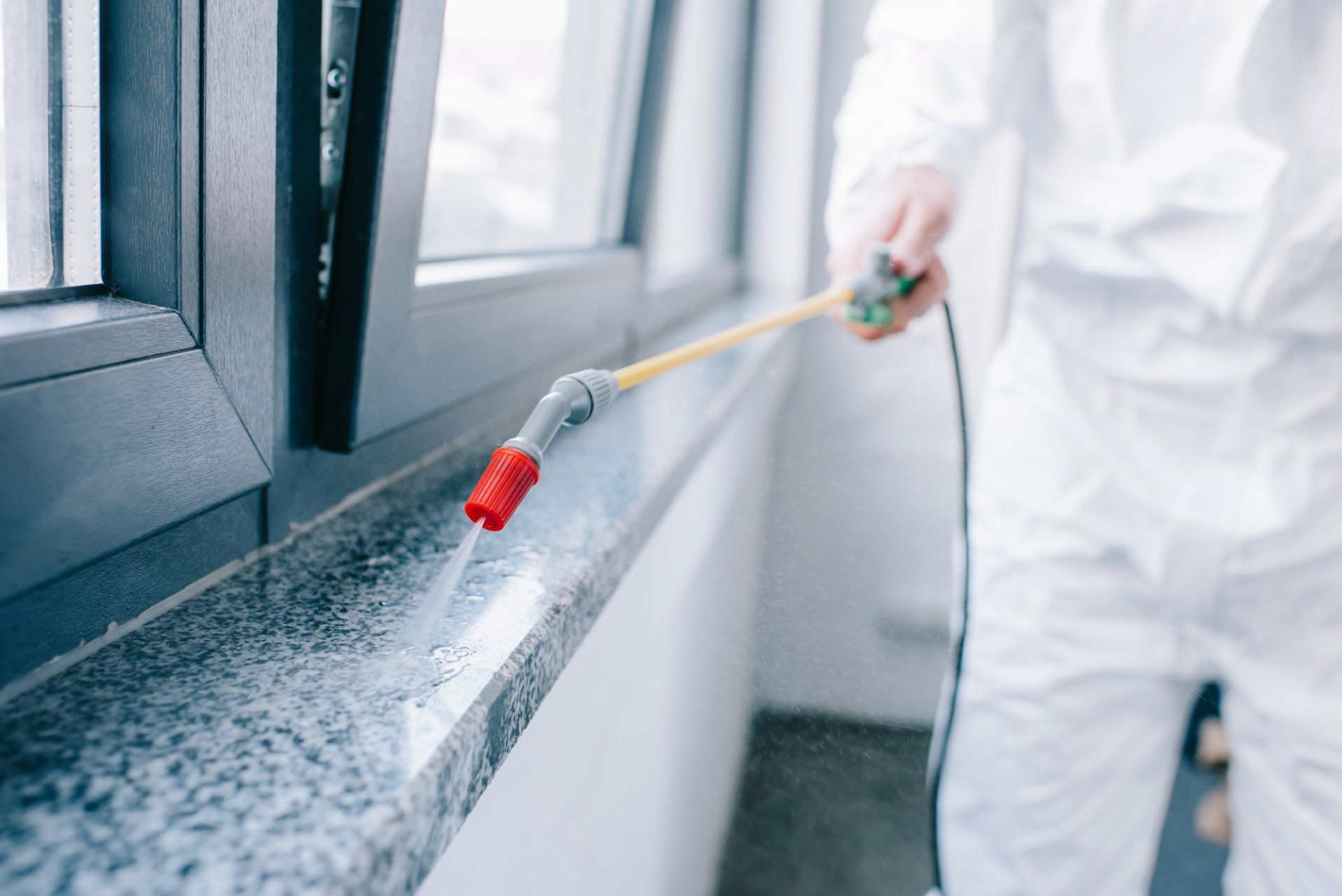 Exterminator in Red Deer, AB