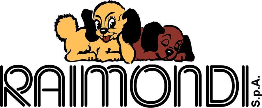 logo raimondi