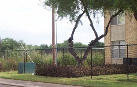 Sports Fencing — Chain-Link Fence in Pharr, TX